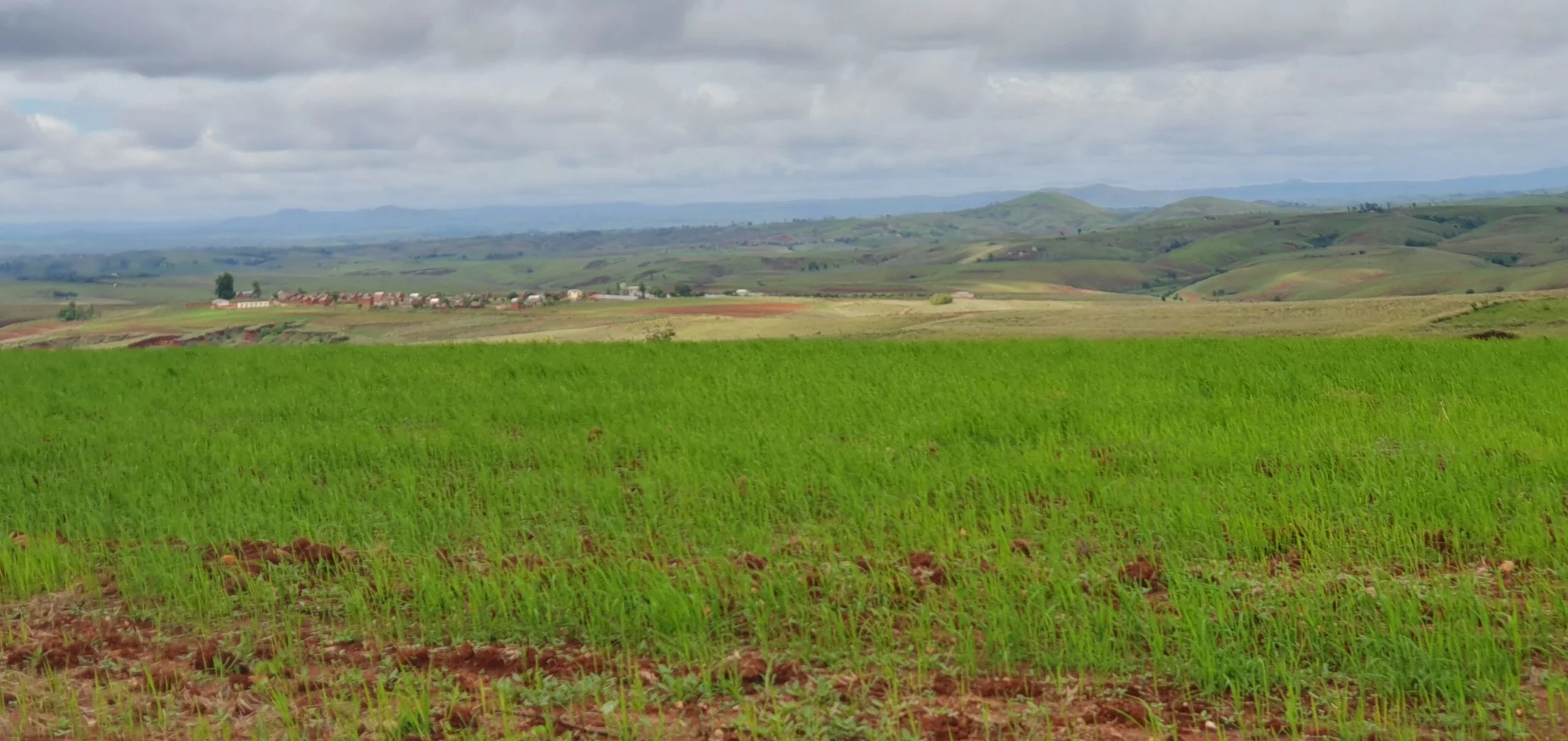 Un champ vert s’étend vers les collines.